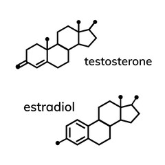 Testosterone and estradiol chemical formulas