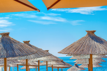 Summer vacation under the beach umbrella