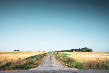 Rural scenery with a road passing a small farm