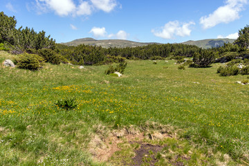 Landscape near The Fish Lakes, Rila mountain, Bulgaria