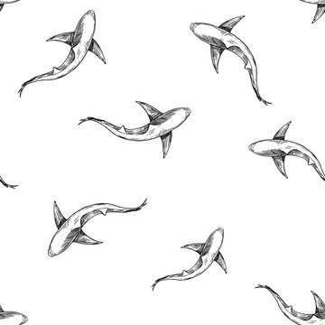 Seamless pattern with hand drawn illustrations of shark. Vector with transparent background