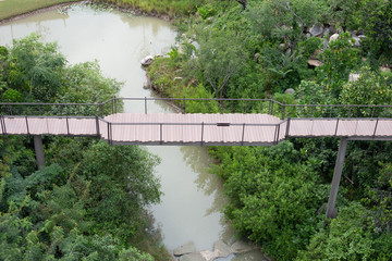 bridge in japanese garden