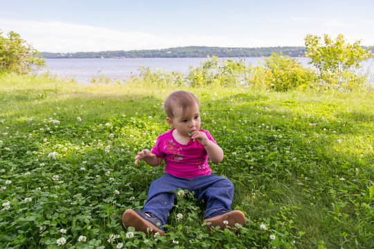 Adorable pensive fair toddler girl sitting in clover patch tasting a flower, Quebec City, Quebec, Canada