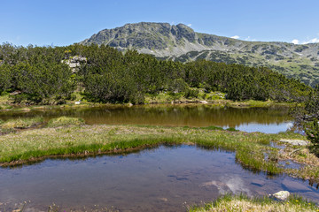 Fototapeta premium Landscape near The Fish Lakes, Rila mountain, Bulgaria