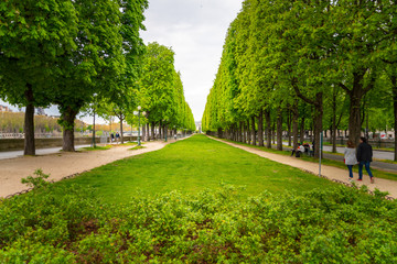 A Parisian Garden Between Two Footpaths