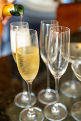 A Krug Champagne Toast