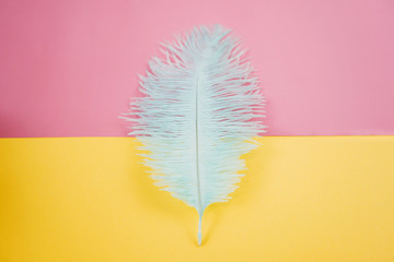 Blue feathers on multicolored background.