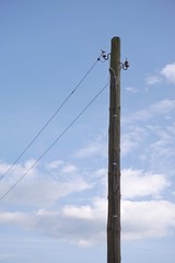 Old wooden power-transmission pole. Electric power line with dangling wires