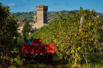 The magnificent castle of Levizzano, built in the province of Modena ITALY in the hills of Castel Vetro / Levizzano, where the famous Lambrusco Grasparossa is produced