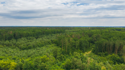 Aerial view of forest in spring or summer day. Natural green foliage background. Drone photo of wild nature.