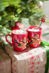 Cups of Chocolate with Marshmallows