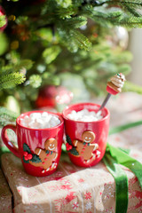 Cups of Chocolate with Marshmallows