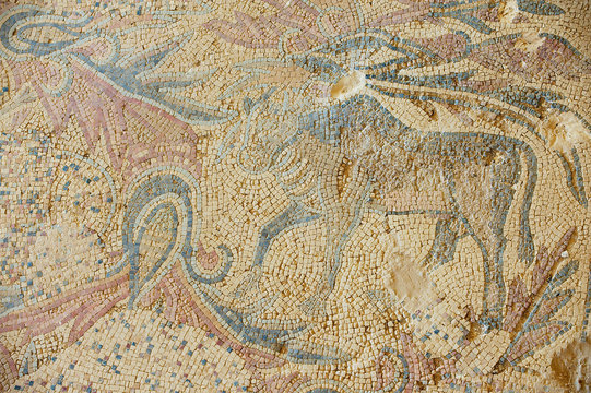 Fragment of the ancient Roman floor mosaic at the ruins of the Saint Stevens Church at an archeological site in Umm ar-Rasas, Jordan. UNESCO World heritage site