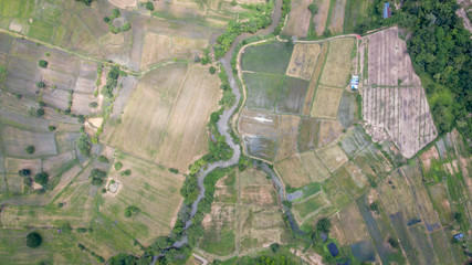 Aerial view, agricultural area, rice growing area in northeastern Thailand