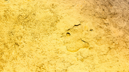 Abstract toned background. Natural stone texture. The pattern of roughened surface. Vintage texture. Widescreen