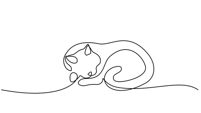53 186 Best Cat Line Drawing Images Stock Photos Vectors Adobe Stock 53 186 Best Cat Line Drawing Images Stock Photos Vectors Adobe Stock