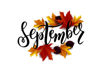 September text. Lettering typography. Vector illustration as poster, postcard, greeting card, invitation template. Concept September advertising