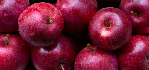 Red apple crop background texture isolated on black, closeup, macro, from above overhead view