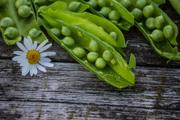 Green pea pods on an old wooden table