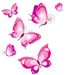 Obraz na płótnie Canvas butterfly203