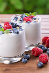 Natural Greek yogurt and wild berries
