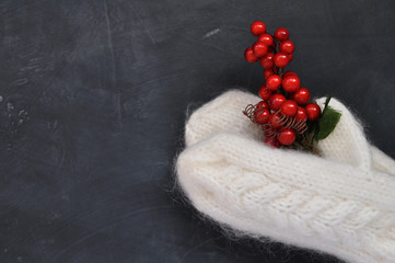 Cozy white knitted mittens keep a sprig of red Christmas Holly berries on a dark background.