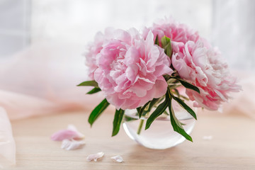 Still life with beautiful pink peonies in glass vase