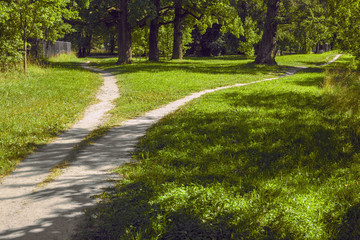 Divergence of paths in different directions in the park in summer.