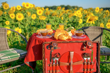 In a blooming sunflower field is a table with chairs. In front of it is a picnic basket. The table is set for a picnic. Concept: leisure and recreation