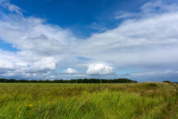 Sky over the field
