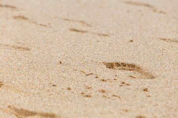 Fototapeta na wymiar footprints of bare feet on wet beach sand. Selective focus.