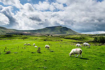 Fototapeta na wymiar Ingleborough mountain. Yorkshire Dales National Park