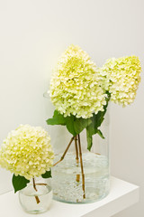 Yellow hydrangea flowers or twigs in a glass vase on a shelf