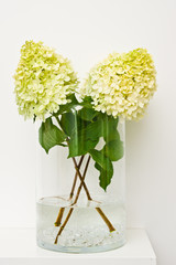 Yellow hydrangea flowers or twigs in a glass vase on a shelf