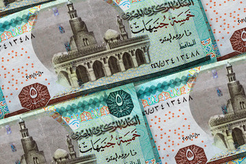Fototapeta premium Money of Egypt. Egyptian pound background.