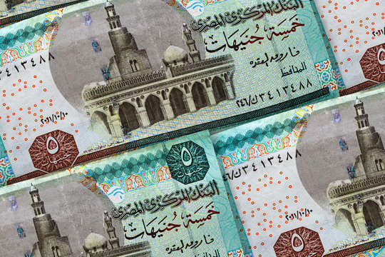 Money of Egypt. Egyptian pound background.