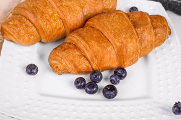 Close up of croissants with blueberries on a white plate. Tasty breakfast.