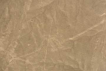 Nazca - Hund