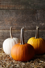 Beautiful Halloween pumpkins in dark old barn