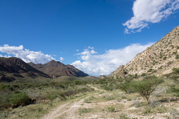 Afrikanische Steppe in Namibia