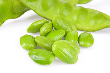 Bitter bean, Twisted cluster bean, Stink bean,Parkia speciosa beans isolated on white background