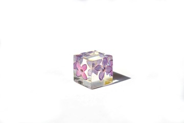 Lilac flower in epoxy resin cube. 