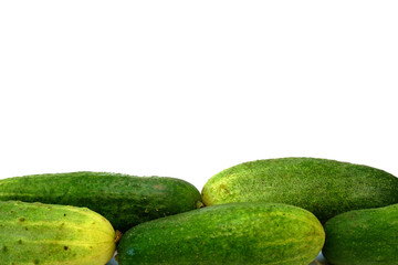 Fresh cucumbers on white background. Free space for your text.
