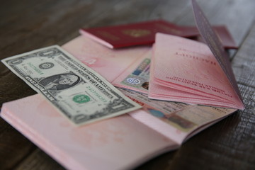 Russian passport with a Canadian and Schengen visa and money - one dollar. Visa stamp travel passport. Vacation and travel concept.