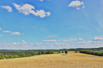 Obraz premium lush summer countryside hill