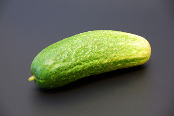 One fresh organic cucumber on dark gray matte background close up
