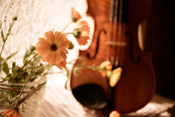 Bottom half of a violin with sheet music and flowers the front of the fiddle on windows background.