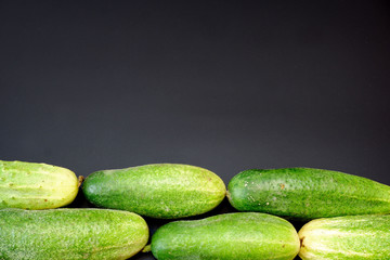 Fresh cucumbers on dark gray background. Free space for your text.