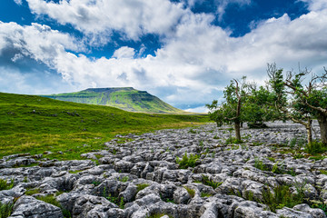 Ingleborough mountain. Yorkshire Dales National Park