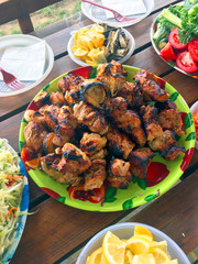 Picnic in the nature. Fried meat and vegetables